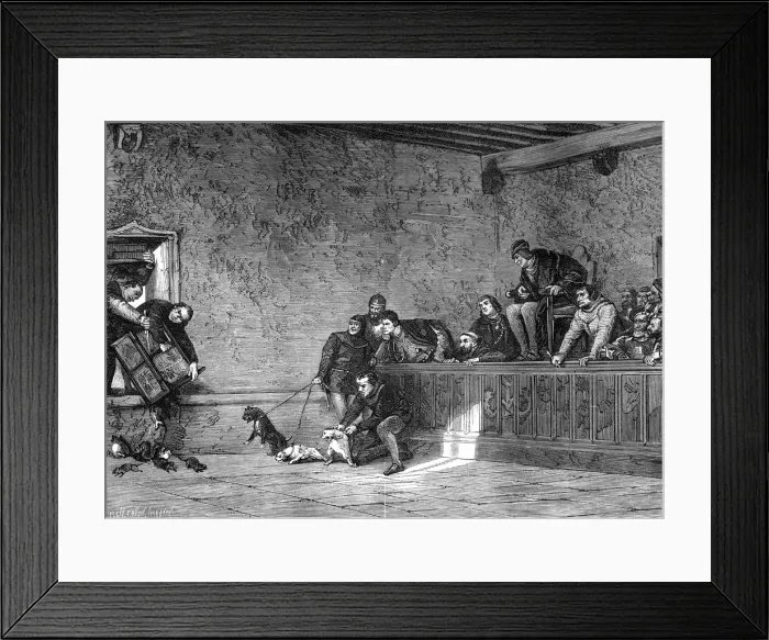 Framed Print : Rat fighting, recreation of Louis XI of France, 1461-1483 (1882-1884) Framed Print : Rat fighting, recreation of Louis XI of France, 1461-1483 (1882-1884)