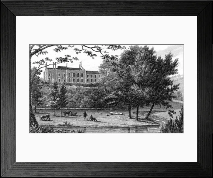 Framed Print : Betchworth Castle, Surrey, 19th century. Artist: Byrne Framed Print : Betchworth Castle, Surrey, 19th century. Artist: Byrne