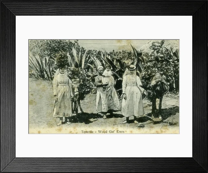 Framed Print : Wood gatherers, Tenerife, Canary Islands, early 20th century(?) Framed Print : Wood gatherers, Tenerife, Canary Islands, early 20th century(?)