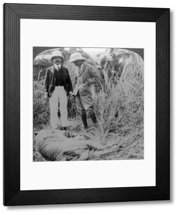 Framed Print : The dead maneater, Behar jungle, India, c1900s(?). Artist: Underwood & Underwood Framed Print : The dead maneater, Behar jungle, India, c1900s(?). Artist: Underwood & Underwood