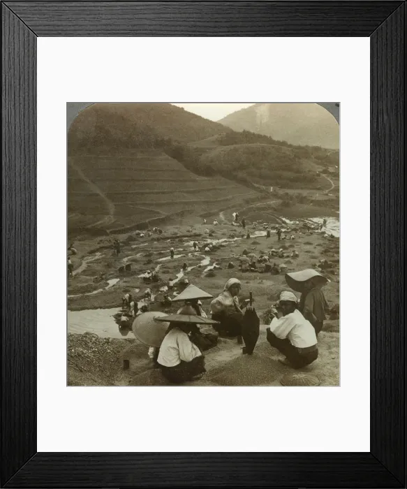 Framed Print : Dredging a river bed for rubies, Mogok, Burma, c1900s(?). Artist: Underwood & Underwood Framed Print : Dredging a river bed for rubies, Mogok, Burma, c1900s(?). Artist: Underwood & Underwood