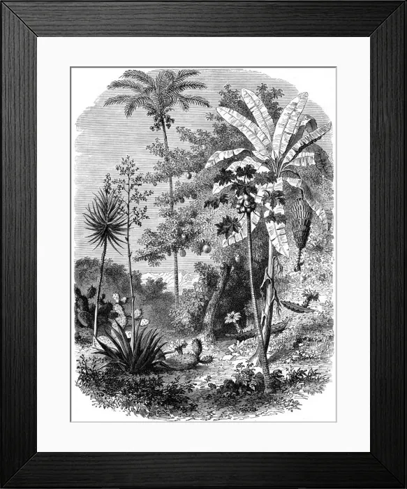 Framed Print : View of the Spanish Main, Guatemala, 1877 Framed Print : View of the Spanish Main, Guatemala, 1877