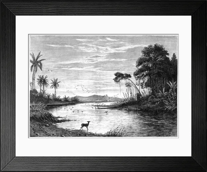 Framed Print : A river scene in Venezuela, 1877 Framed Print : A river scene in Venezuela, 1877