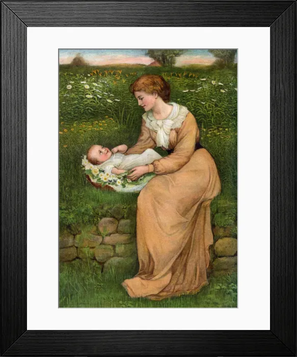 Framed Print : A Bed of Daisies, 1905. Artist: Alphage Brewer Framed Print : A Bed of Daisies, 1905. Artist: Alphage Brewer