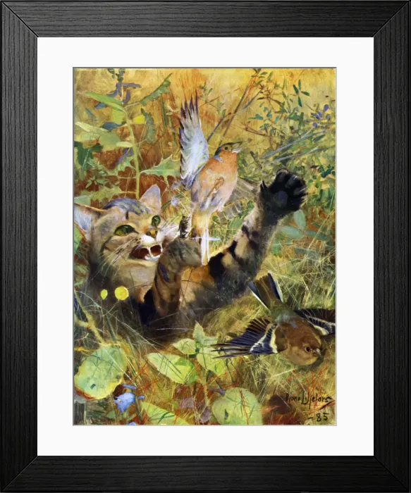 Framed Print : A Cat and a Chaffinch, 1885 (1945). Artist: Bruno Liljefors Framed Print : A Cat and a Chaffinch, 1885 (1945). Artist: Bruno Liljefors