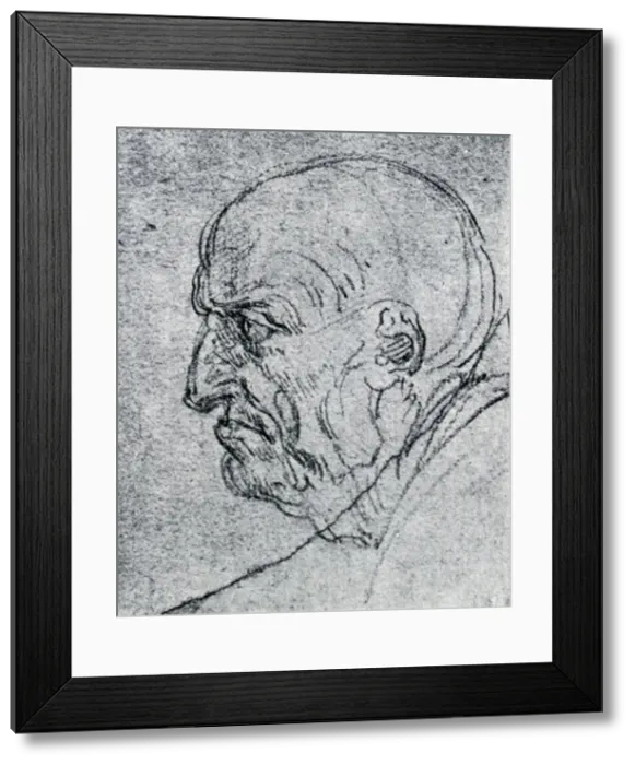 Framed Print : Head of an Old Man, 1913. Artist: Leonardo da Vinci Framed Print : Head of an Old Man, 1913. Artist: Leonardo da Vinci