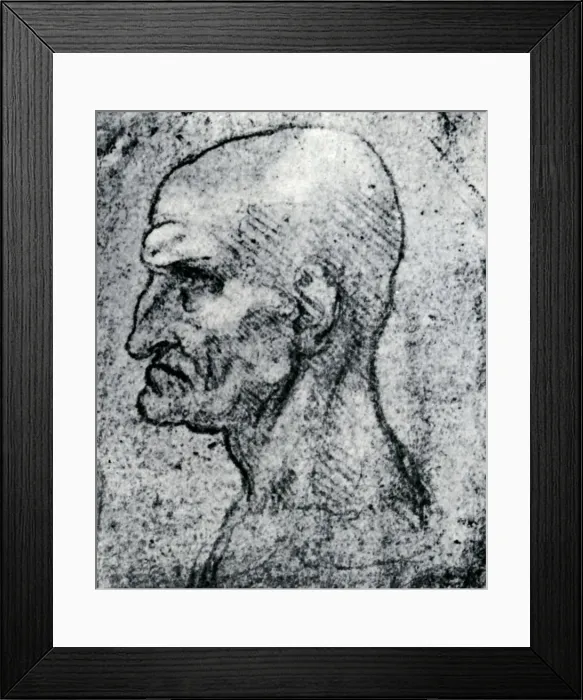 Framed Print : Head of an Old Man, 1913. Artist: Leonardo da Vinci Framed Print : Head of an Old Man, 1913. Artist: Leonardo da Vinci