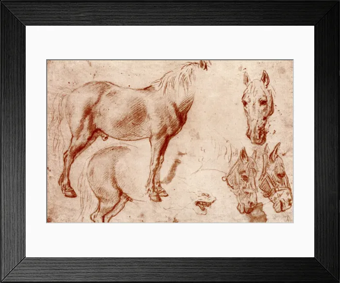 Framed Print : Studies of Horses, 1913. Artist: Peter Paul Rubens Framed Print : Studies of Horses, 1913. Artist: Peter Paul Rubens