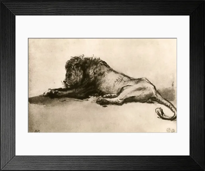 Framed Print : Study of a Lion, 1913. Artist: Rembrandt Harmensz van Rijn Framed Print : Study of a Lion, 1913. Artist: Rembrandt Harmensz van Rijn