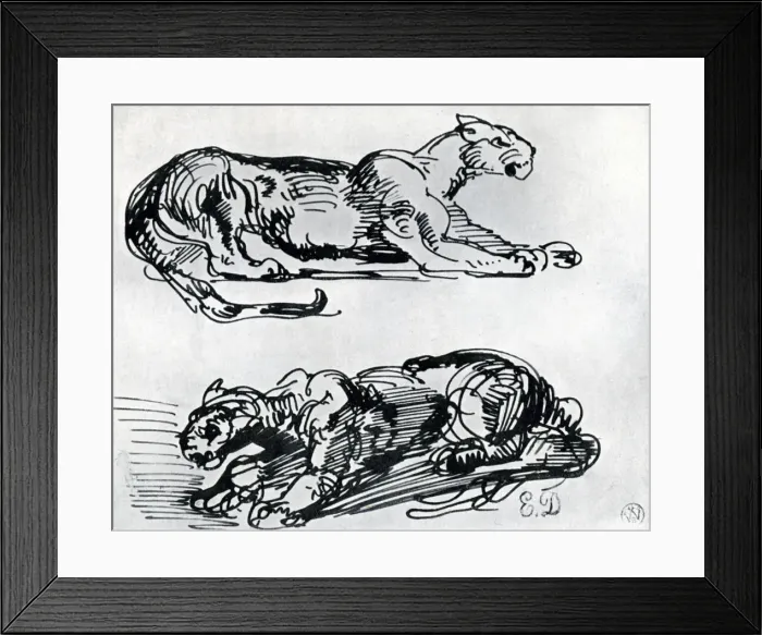 Framed Print : Studies of Panthers, 1913. Artist: Eugene Delacroix Framed Print : Studies of Panthers, 1913. Artist: Eugene Delacroix