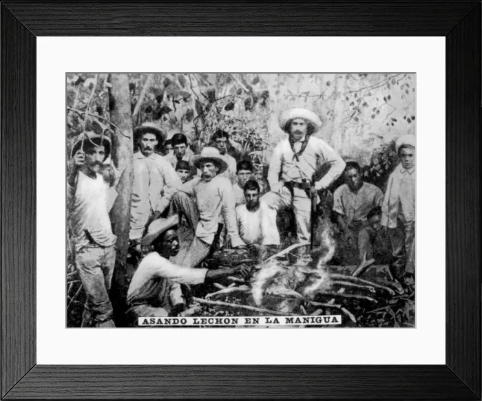 Framed Print : Roasting pig in the jungle, Cuba, (c1910) Framed Print : Roasting pig in the jungle, Cuba, (c1910)