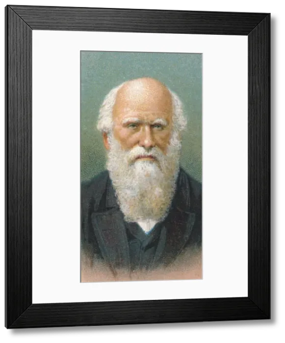 Framed Print : Charles Darwin (1809-1882), British naturalist, 1924 Framed Print : Charles Darwin (1809-1882), British naturalist, 1924