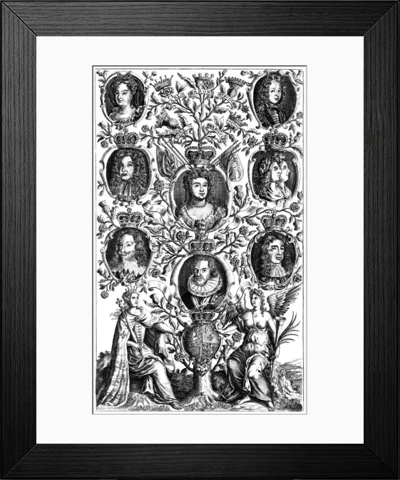 Framed Print : Queen Annes (1665-1714) family tree Framed Print : Queen Annes (1665-1714) family tree