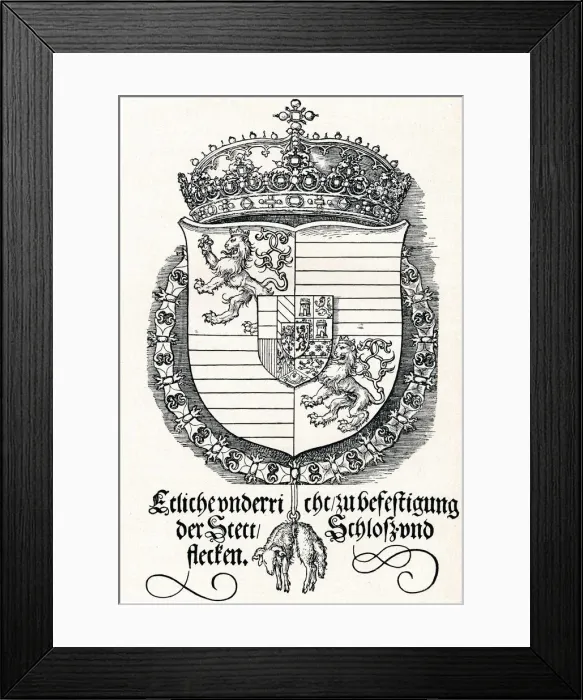 Framed Print : The Coat of Arms of Ferdinand I, King of Hungary and Bohemia, 1527 (1906). Artist: Albrecht Durer Framed Print : The Coat of Arms of Ferdinand I, King of Hungary and Bohemia, 1527 (1906). Artist: Albrecht Durer