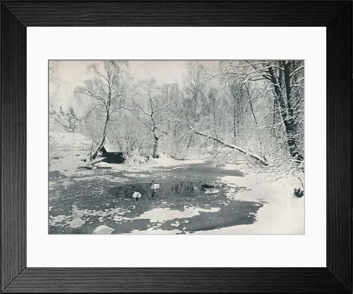 Framed Print : Winter view of the open-air museum at Skansen, c1900 Framed Print : Winter view of the open-air museum at Skansen, c1900