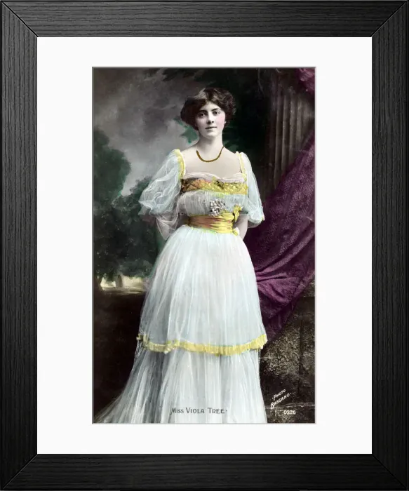 Framed Print : Viola Tree (1885-1938), English actress, 1906. Artist: Bassano Studio Framed Print : Viola Tree (1885-1938), English actress, 1906. Artist: Bassano Studio