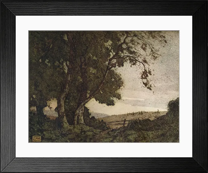 Framed Print : The Drooping Ash, c1910. Artist: Alfred Hartley Framed Print : The Drooping Ash, c1910. Artist: Alfred Hartley