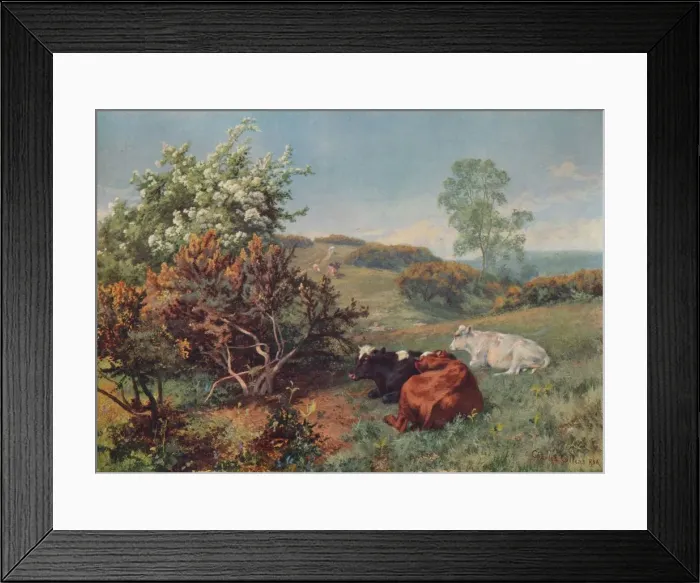 Framed Print : Landscape with Cattle (In the Nower, Dorking), c1899. Artist: Charles Collins Framed Print : Landscape with Cattle (In the Nower, Dorking), c1899. Artist: Charles Collins