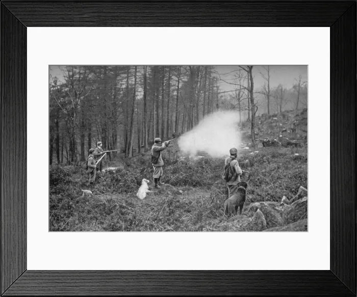 Framed Print : In The Coverts, c1902, (1903). Artist: Charles Reid