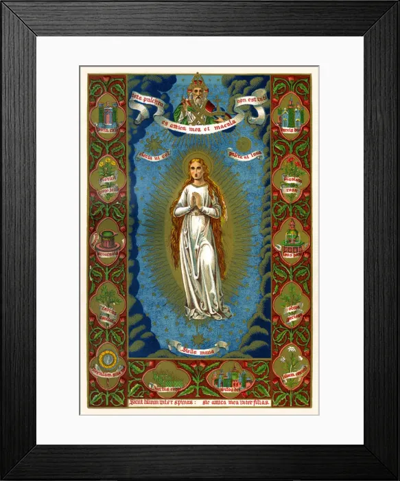 Framed Print : Stella Maria, 1886 Framed Print : Stella Maria, 1886