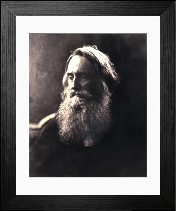 Framed Print : Sir Henry Taylor, 19th century English dramatist. Artist: Julia Margaret Cameron Framed Print : Sir Henry Taylor, 19th century English dramatist. Artist: Julia Margaret Cameron