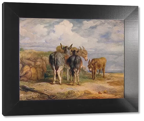 Donkeys, c1831 (1904). Artist: James Ward