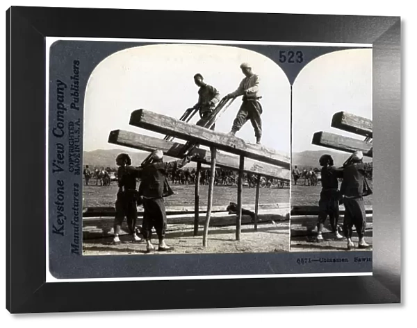 Chinese men sawing timber for the Japanese army, Manchuria, Russo-Japanese war, 1904-1905. Artist: Keystone