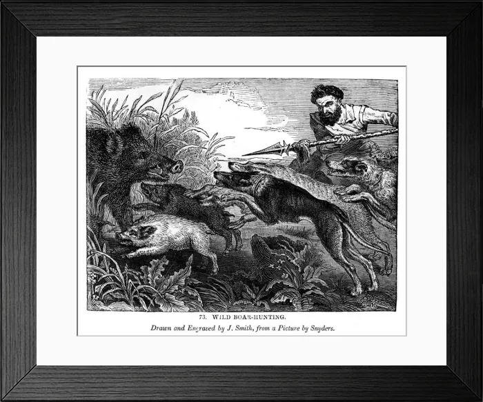 Framed Print : Wild boar hunting, c1600-1650 (1843). Artist: J Smith Framed Print : Wild boar hunting, c1600-1650 (1843). Artist: J Smith