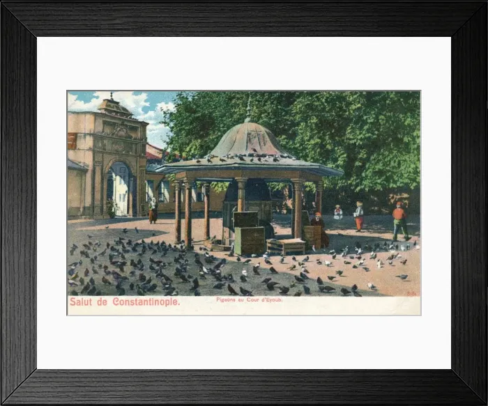 Framed Print : Salut de Constantinople - Pigeons au Cour d Eyoub, c1900 Framed Print : Salut de Constantinople - Pigeons au Cour d Eyoub, c1900