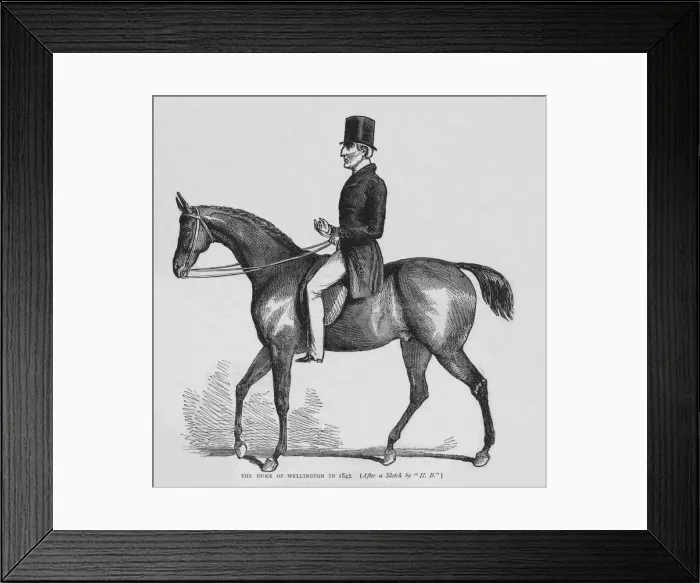 Framed Print : The Duke of Wellington, c1842 (1878) Framed Print : The Duke of Wellington, c1842 (1878)