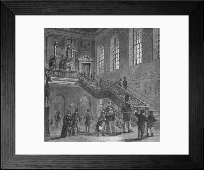Framed Print : Grand staircase of Montagu House, Bloomsbury, London, c1830 (1878) Framed Print : Grand staircase of Montagu House, Bloomsbury, London, c1830 (1878)