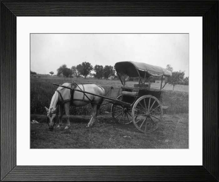 Framed Print : Tonga (horse cart), Muttra, India, 1917 Framed Print : Tonga (horse cart), Muttra, India, 1917