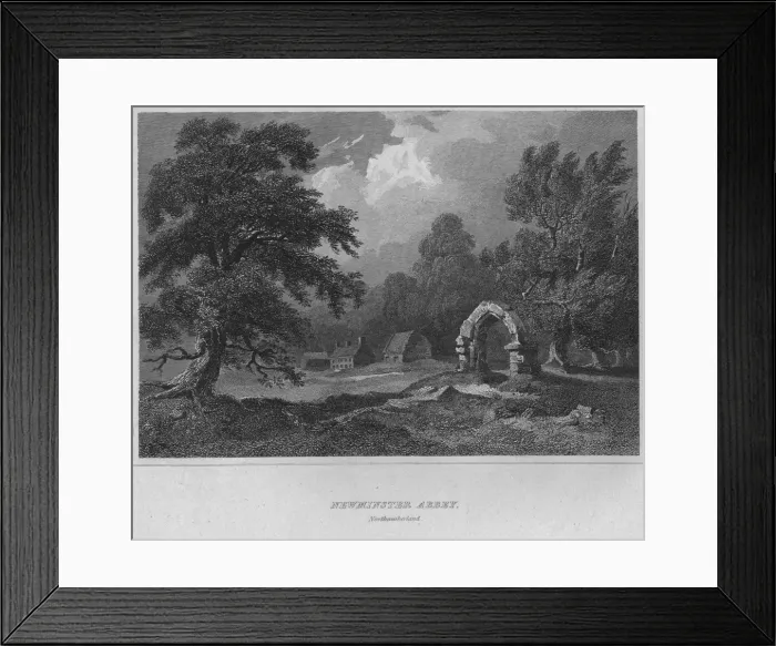 Framed Print : Newminster Abbey, Northumberland, 1814. Artist: John Greig Framed Print : Newminster Abbey, Northumberland, 1814. Artist: John Greig