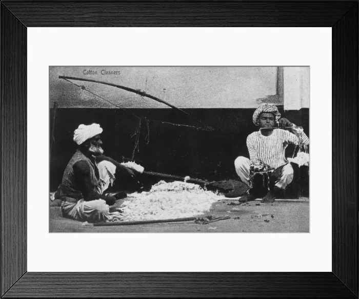 Framed Print : Cotton cleaners, India, 20th century Framed Print : Cotton cleaners, India, 20th century