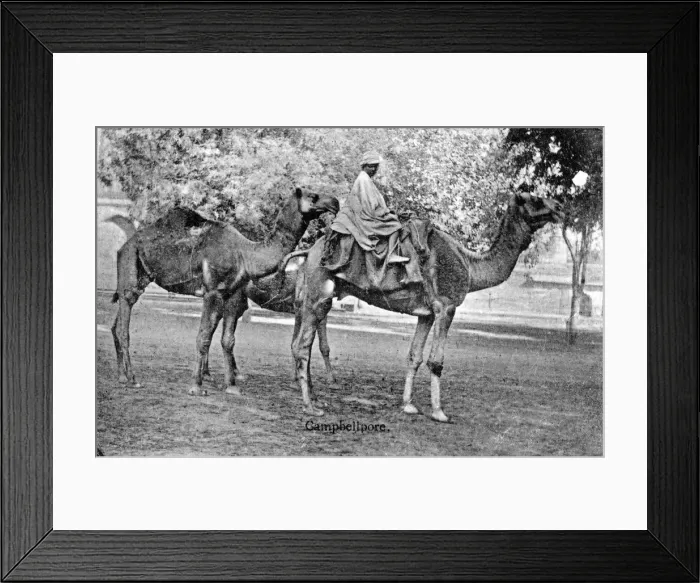 Framed Print : Campbellpore, Pakistan, 20th century Framed Print : Campbellpore, Pakistan, 20th century