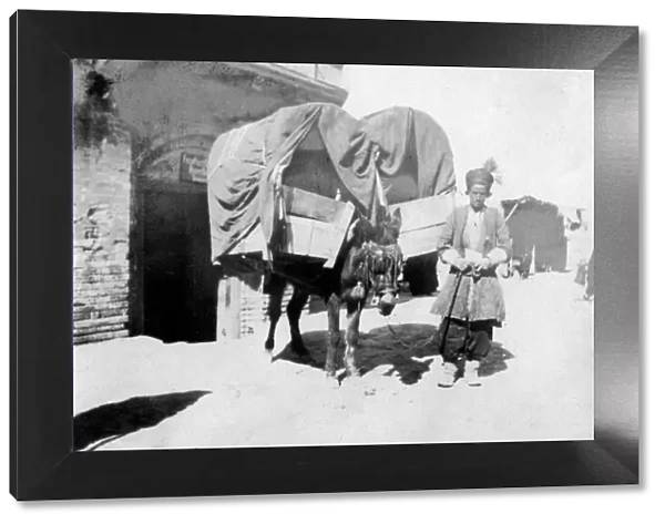 Persian donkey transport, Baghdad, Iraq, 1917-1919