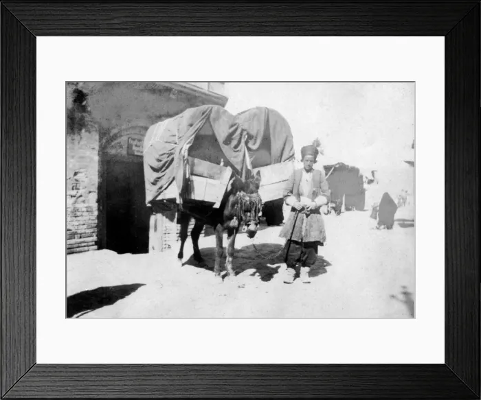 Framed Print : Persian donkey transport, Baghdad, Iraq, 1917-1919 Framed Print : Persian donkey transport, Baghdad, Iraq, 1917-1919