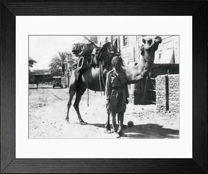 Framed Print : Indian camel trooper, Baghdad, 1918 Framed Print : Indian camel trooper, Baghdad, 1918