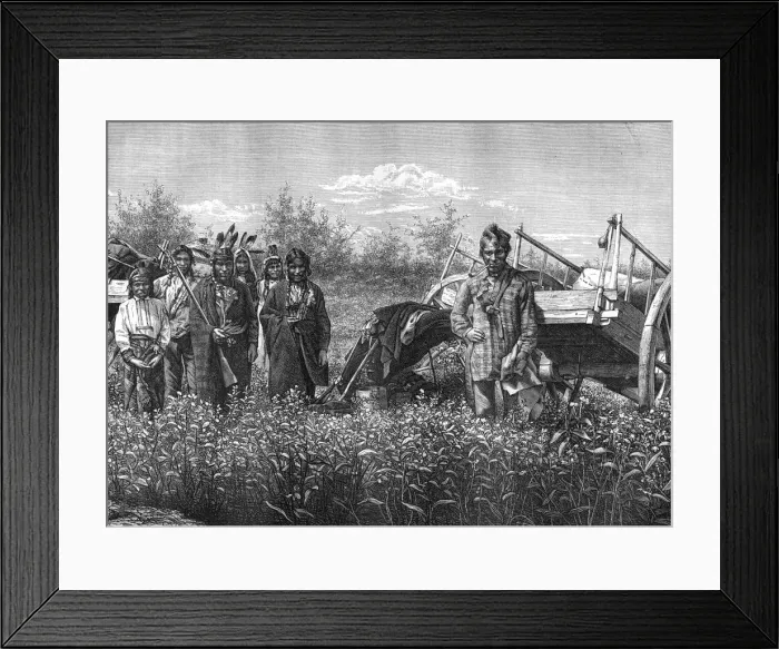Framed Print : Native Canadians, 19th century. Artist: Dupuy Framed Print : Native Canadians, 19th century. Artist: Dupuy