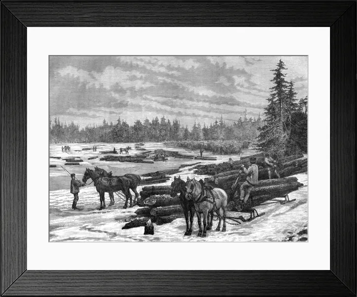 Framed Print : Canadian loggers, 19th century. Artist: Taylor
