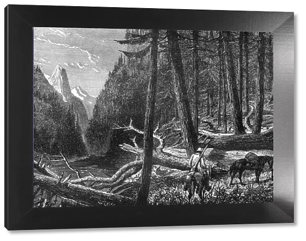 Riding through the forest, British Columbia, Canada, 19th century. Artist: Leitch