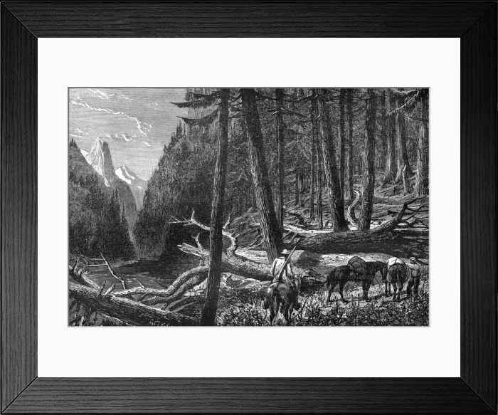 Framed Print : Riding through the forest, British Columbia, Canada, 19th century. Artist: Leitch Framed Print : Riding through the forest, British Columbia, Canada, 19th century. Artist: Leitch