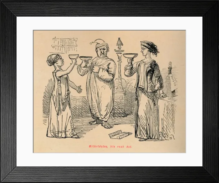 Framed Print : Mithridates, his rash Act, 1852. Artist: John Leech Framed Print : Mithridates, his rash Act, 1852. Artist: John Leech