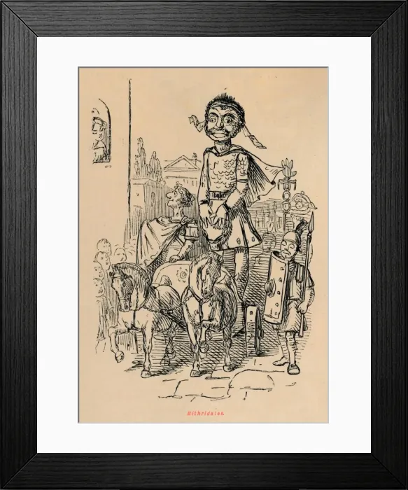 Framed Print : Mithridates, 1852. Artist: John Leech Framed Print : Mithridates, 1852. Artist: John Leech