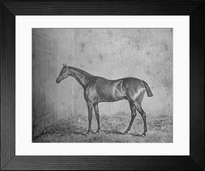 Framed Print : Frederick, 1826-1837, (1911) Framed Print : Frederick, 1826-1837, (1911)