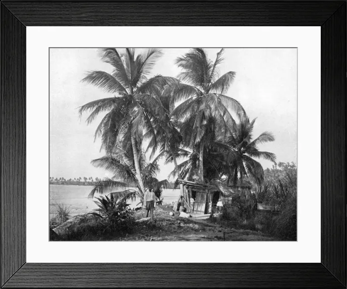 Framed Print : On the road to Blue Hole, Port Antonio, Jamaica, c1905. Artist: Adolphe Duperly & Son Framed Print : On the road to Blue Hole, Port Antonio, Jamaica, c1905. Artist: Adolphe Duperly & Son