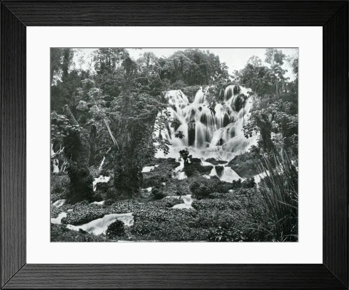 Framed Print : Roaring River Falls, Jamaica, c1905. Artist: Adolphe Duperly & Son Framed Print : Roaring River Falls, Jamaica, c1905. Artist: Adolphe Duperly & Son