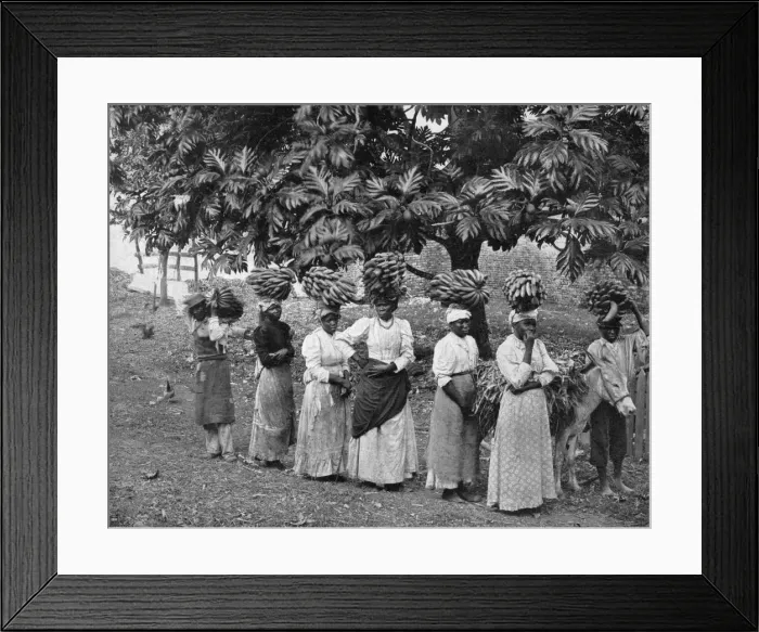Framed Print : Banana carriers, Jamaica, c1905. Artist: Adolphe Duperly & Son Framed Print : Banana carriers, Jamaica, c1905. Artist: Adolphe Duperly & Son