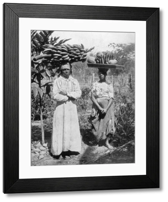 Framed Print : Fruit sellers, Jamaica, c1905. Artist: Adolphe Duperly & Son Framed Print : Fruit sellers, Jamaica, c1905. Artist: Adolphe Duperly & Son