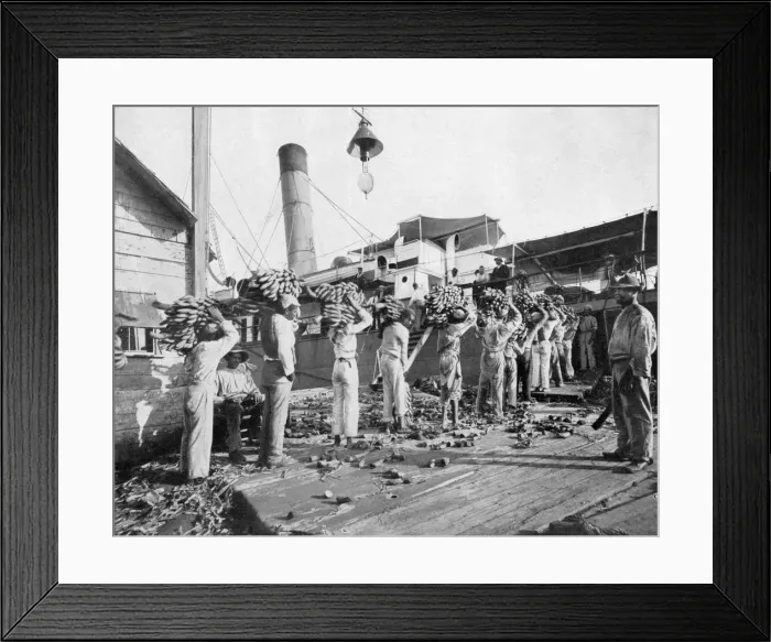 Framed Print : Loading bananas, Port Antonio, Jamaica, c1905. Artist: Adolphe Duperly & Son Framed Print : Loading bananas, Port Antonio, Jamaica, c1905. Artist: Adolphe Duperly & Son